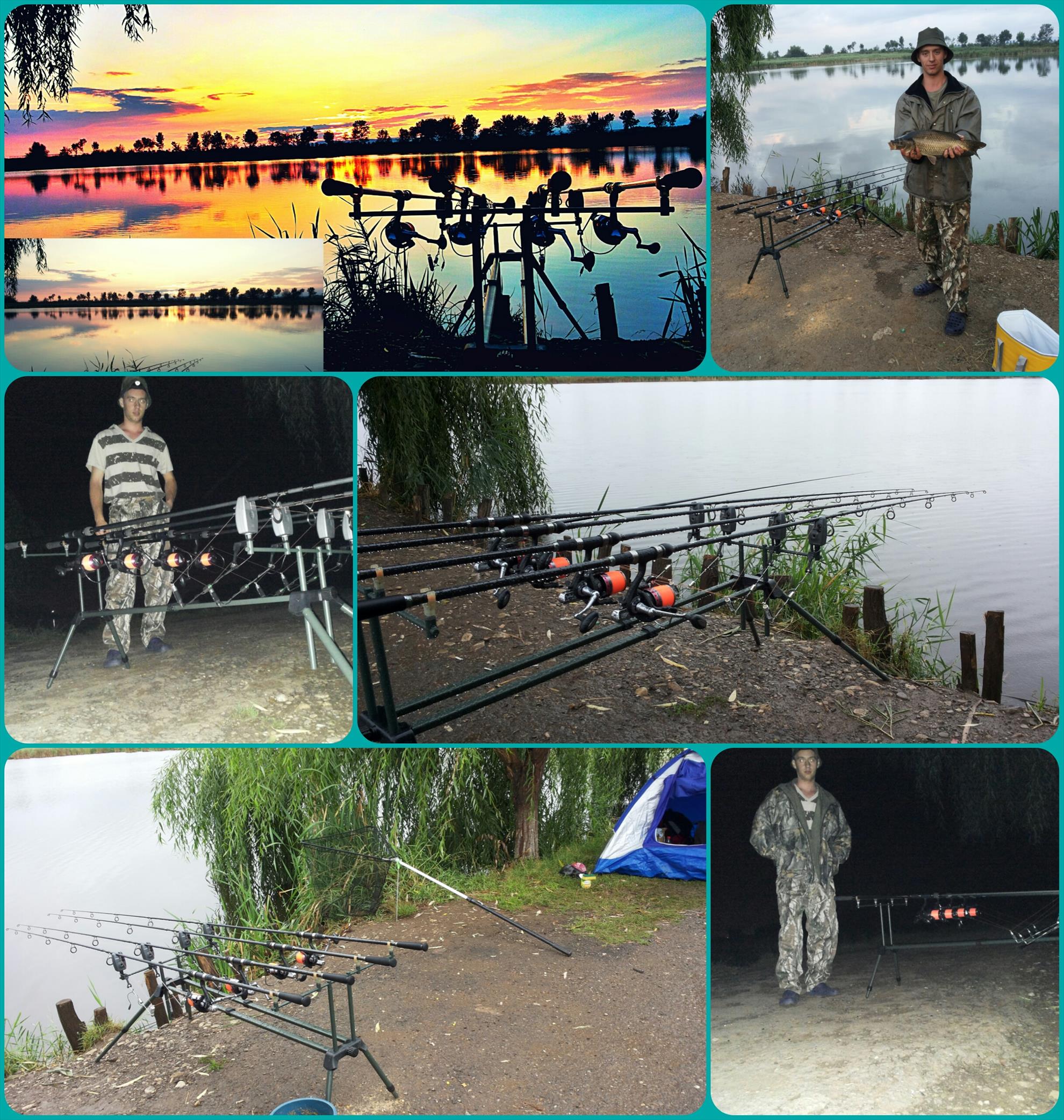 best off 2013 - collage20140208132825631.jpg